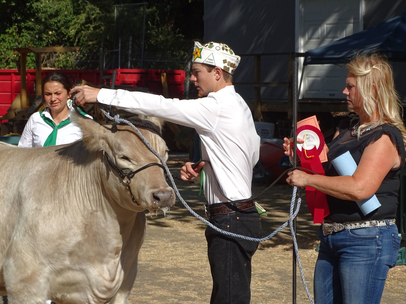Napa Town & Country Fair 2019